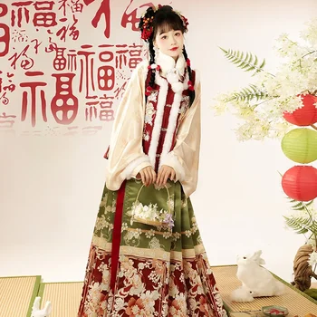 2 цвята династия Минг 3Pc ханфу рокля комплект китайски стил жени зимна бродерия жилетка елегантен кон лицето пола сгъсти кадифе