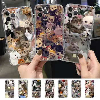 Калъф за телефон Crying Cat Memes за iPhone 11 12 13 mini pro XS MAX 8 7 6 6S Plus X 5S SE 2020 XR калъф